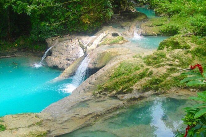 Appleton Estate ,YS Falls, black river Safari private tour - Why This Tour Offers Great Value