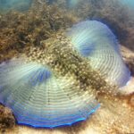 Aqua Aventura - diving for families - Who Will Love This Experience?