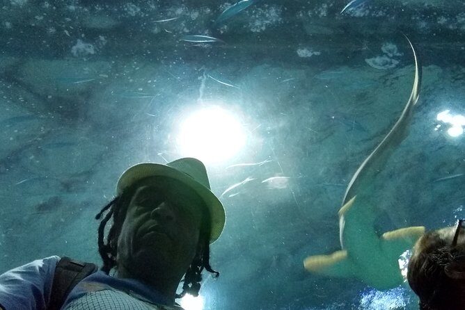 AquaRio + Olympic Boulevard + Transportation - In-Depth Look at the Tour Experience