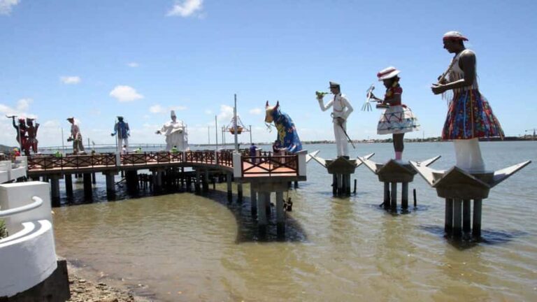 Aracaju: Guided Cultural City Tour with Pickup and Markets - Why This Tour Works Well