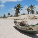 Aracaju: Tour to Mangue Seco - Who Should Consider This Tour?