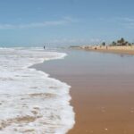 Aracaju: Tour to Saco Beach - Practical Tips for Your Visit