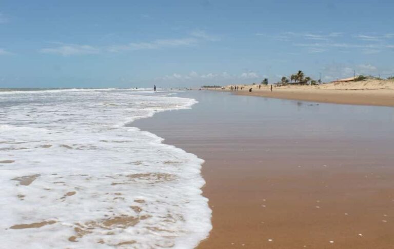 Aracaju: Tour to Saco Beach - Practical Tips for Your Visit