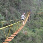 Arborismo in Horto Florestal - Campos Do Jordão - A Detailed Look at the Arborismo Experience