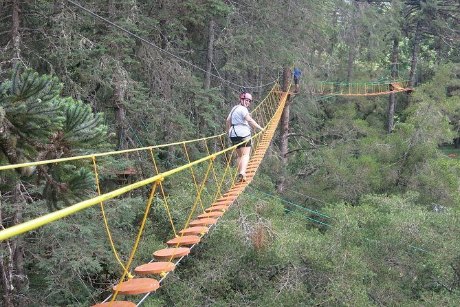 Arborismo in Horto Florestal - Campos Do Jordão - A Detailed Look at the Arborismo Experience