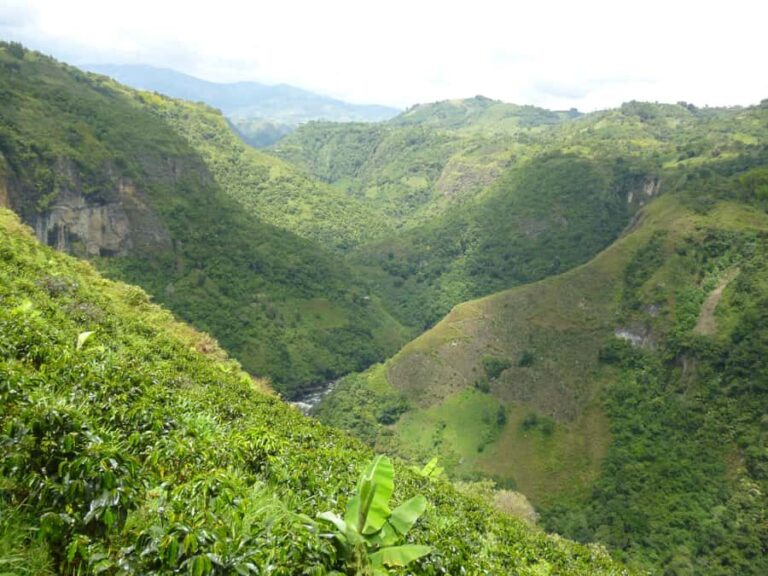 Archaeological Mountain Bike Tour to la Chaquira, Purutal,.. - A Detailed Look at the Archaeological Mountain Bike Tour