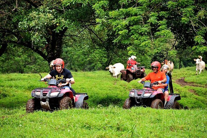 Arenal ATV and Zipline Adventure Tour - The Experience in Detail: What to Expect