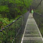 Arenal Best 4 Attractions (Full day - Combo) Incl. Lunch & Dinner - Who Is This Tour Best For?