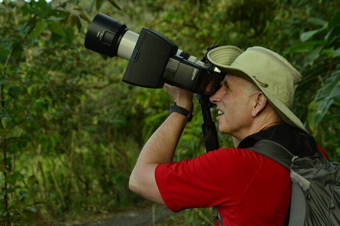 ARENAL DISCOVERY ADVENTURE (1): Volcano Hike, Waterfall & Lunch - A Detailed Look at the Tour Experience