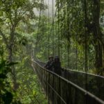 ARENAL DISCOVERY ADVENTURE (3):Hanging Bridges, Waterfall & Lunch - Who Should Consider This Tour?