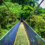 Arenal Hanging Bridges from La Fortuna - The Sum Up: Why This Tour Is a Great Choice