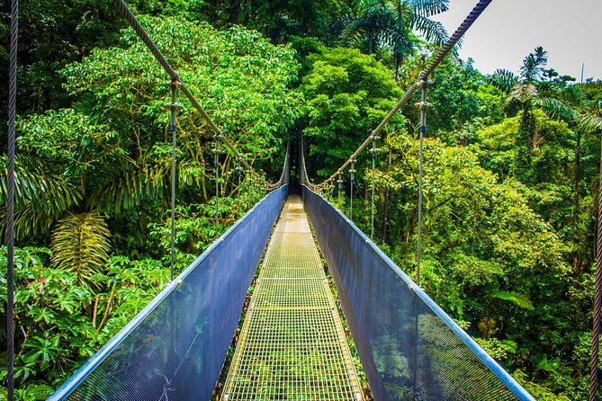 Arenal Hanging Bridges from La Fortuna - The Sum Up: Why This Tour Is a Great Choice
