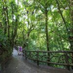 Arenal Hanging Bridges, Guided Walk, Hot Springs Optional - Who Should Book This Tour?