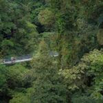 Arenal Hanging Bridges Hiking Tour - Final Thoughts: Is It Worth It?
