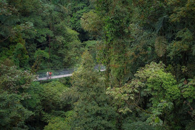 Arenal Hanging Bridges Hiking Tour - Final Thoughts: Is It Worth It?