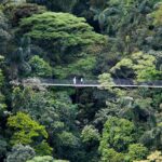 Arenal Hanging Bridges Nature Tour - A Closer Look at the Arenal Hanging Bridges Experience