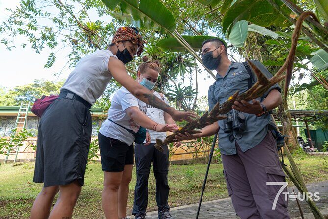 Arenal Highlights (arenal 1 Day) + Baldi Hot Springs & Dinner - Who Will Love This Tour?