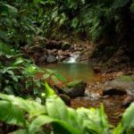 Arenal Natural Hiking Trails - Final Thoughts
