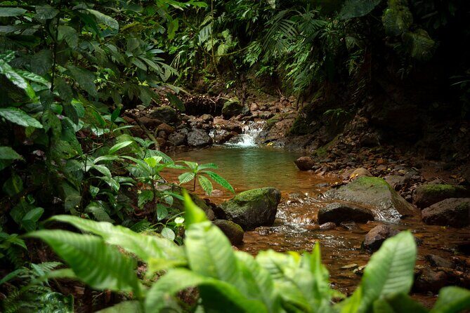 Arenal Natural Hiking Trails - Final Thoughts
