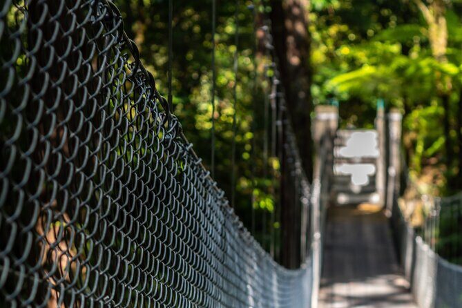 Arenal Observatory Lodge & Trails - An In-Depth Look at Arenal Observatory Lodge & Trails