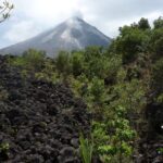 Arenal Volcano Guided Hike, Hot Springs Optional - The End of the Line: Hot Springs or Just the Hike?