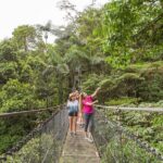 Arenal volcano, hanging bridges and sloth encounter tour. - FAQ