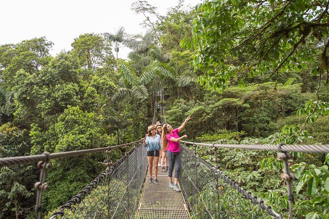 Arenal volcano, hanging bridges and sloth encounter tour. - FAQ