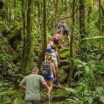 Arenal Volcano Hike Trail & Baldi Hot Springs From Arenal - Why This Tour Is a Great Fit