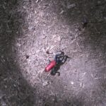 Arenal Volcano Hiking trail Observatory& Hot Spring+ lunch buffet - Lunch: A Hearty Costa Rican Buffet