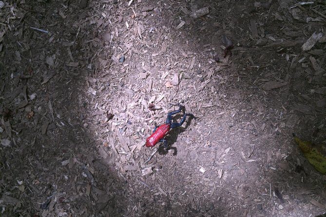 Arenal Volcano Hiking trail Observatory& Hot Spring+ lunch buffet - Lunch: A Hearty Costa Rican Buffet