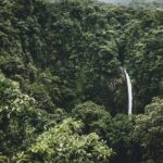 Arenal Volcano, La Fortuna Waterfall & Lunch - Final thoughts