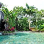 Arenal Volcano Lava Trail and Baldi Hot Springs with Dinner - Transportation and Group Size