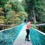 Arenal Volcano Tour - What Travelers Say About the Experience