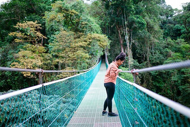 Arenal Volcano Tour - What Travelers Say About the Experience