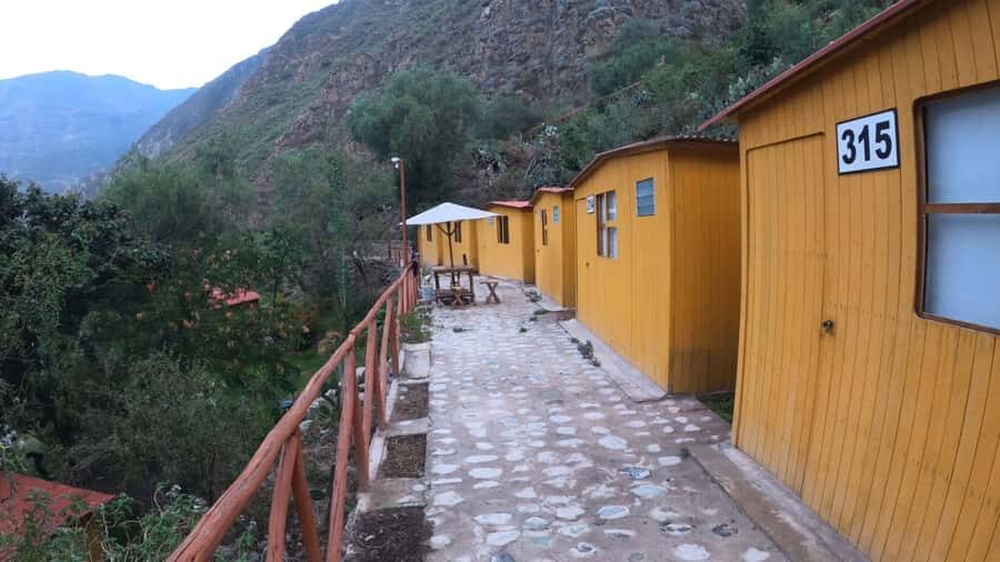 Arequipa: 2-day Colca Canyon Trekking, Ending in Puno - The Sum Up