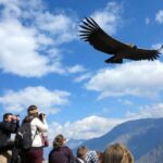 Arequipa: 2-Days tour of the Colca Canyon - A Detailed Look at the Colca Canyon Tour