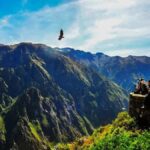 Arequipa: Colca Canyon 2 days and 1 night in Colca Canyo - Who Should Take This Tour?