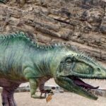 Arequipa: Excursion to Querulpa and Chancaray - Exploring the Itinerary: What Does the Day Look Like?