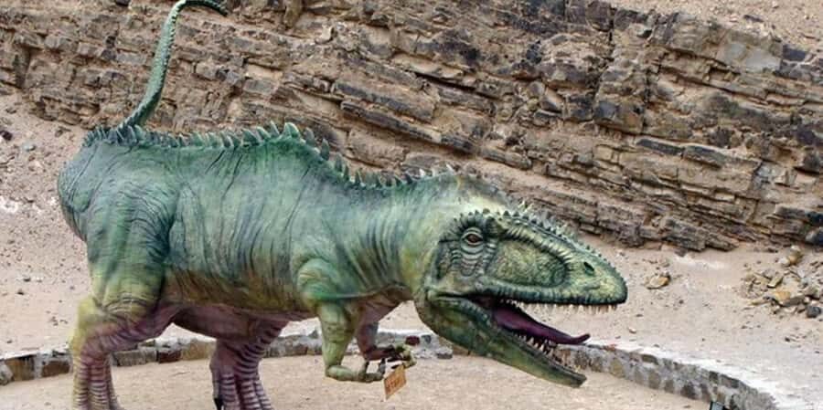 Arequipa: Excursion to Querulpa and Chancaray - Exploring the Itinerary: What Does the Day Look Like?