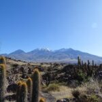 Arequipa: Las Rocas Park and Chilina Valley Bike Tour - The Bike Ride: From the Park to the Chilina Valley