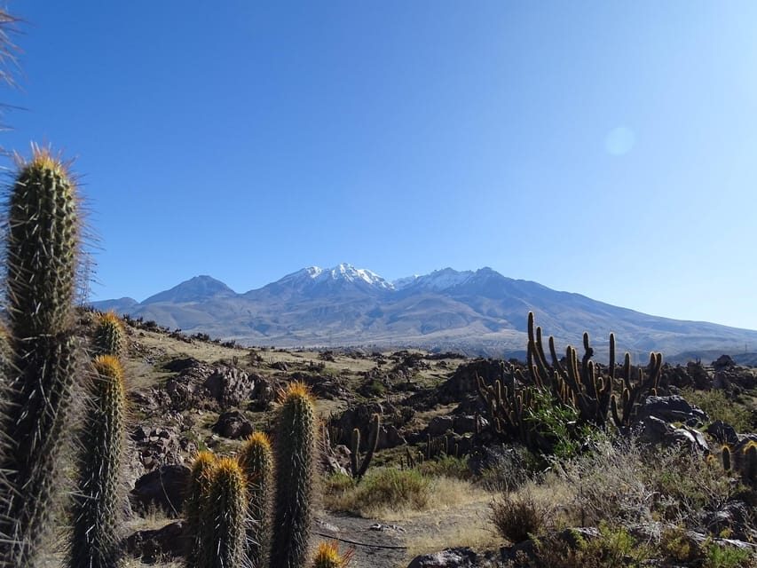 Arequipa: Las Rocas Park and Chilina Valley Bike Tour - The Bike Ride: From the Park to the Chilina Valley