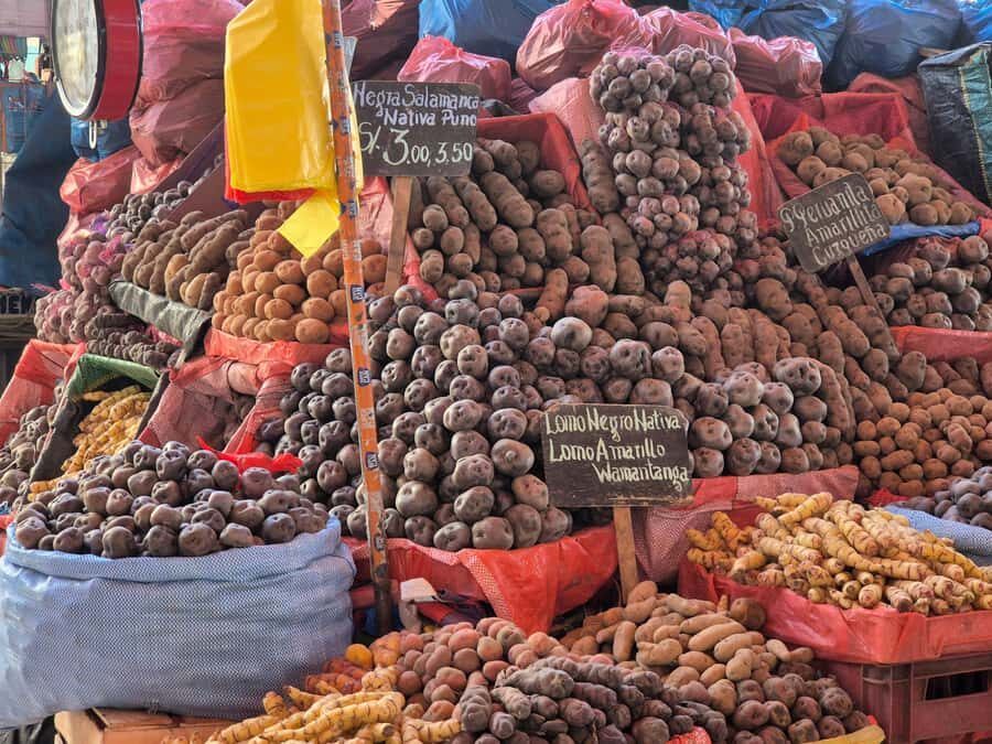 Arequipa: San Camilo Market Tour - A Close Look at the San Camilo Market Tour