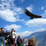Arequipa:2-day tour of the Colca Canyon - A Deep Dive into the Colca Canyon Experience