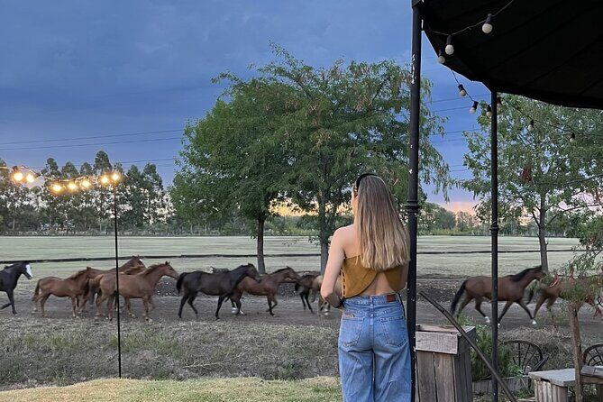 Argentina Polo Experience by La Guapeada Polo - FAQs