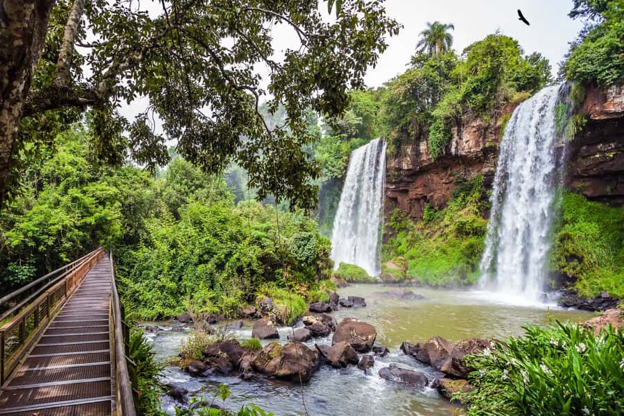 Argentinian Iguazu Falls Full Day Tour - A Deep Dive into the Iguazu Falls Full-Day Experience