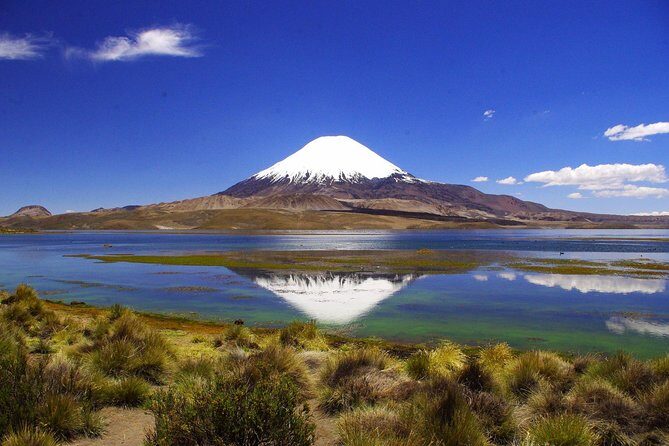 Arica: Full day to Lauca National Park and Chungara Lake, meals included - A Detailed Look at the Lauca and Chungara Experience