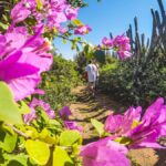 Armação dos Búzios: Walk Through the Natural Pools in Búzios - A Closer Look at the Experience