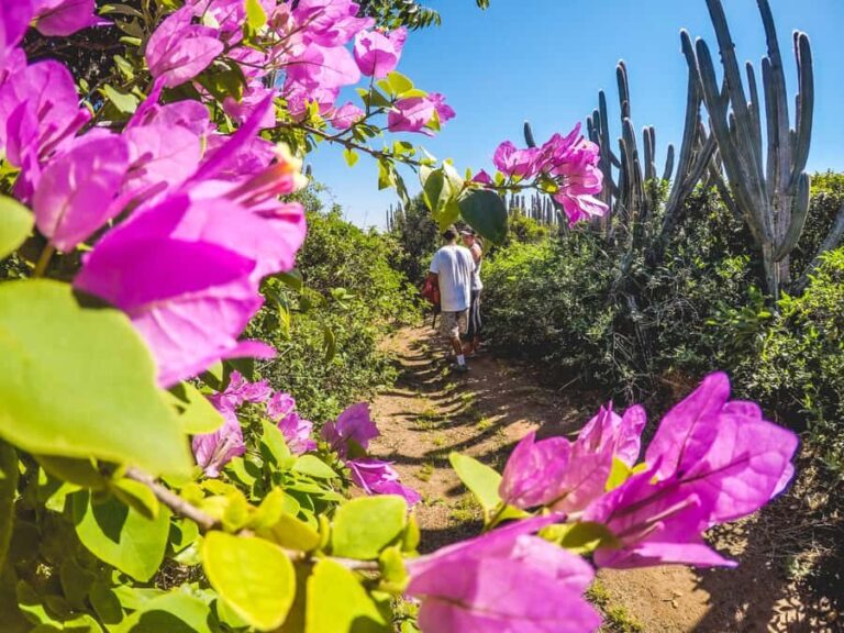 Armação dos Búzios: Walk Through the Natural Pools in Búzios - A Closer Look at the Experience