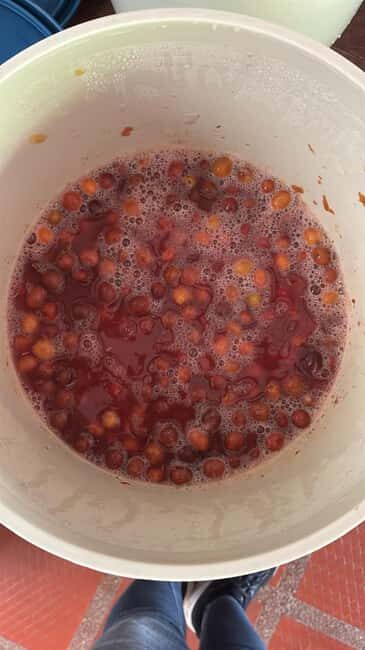 Armenia, Quindío: Traditional coffee farm tour with roasting and transportation - Final Thoughts