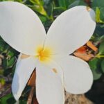 Around the Island Tour From San Juan - In-Depth Look at the Tour Experience